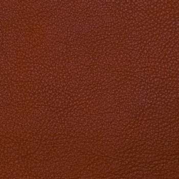 10 Terracotta